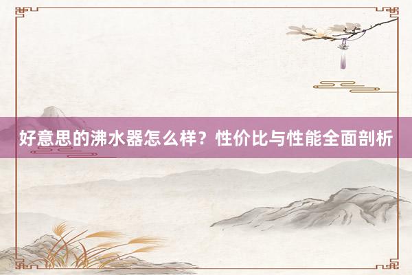 好意思的沸水器怎么样？性价比与性能全面剖析